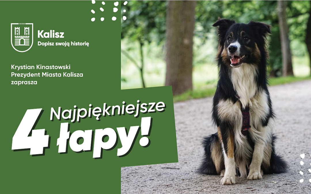 ZWIERZĘTA. Najpiękniejsze 4 łapy
