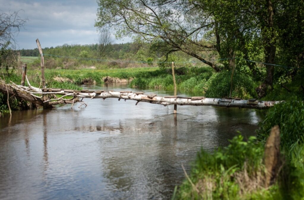 Swędrnia